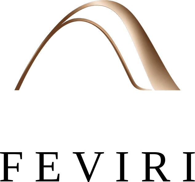 Logotipo FEVIRI